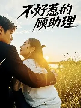 不好惹的顾助理 海报