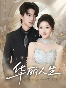 《华丽人生》：一场关于梦想与现实的残酷童话，你的选择是什么？