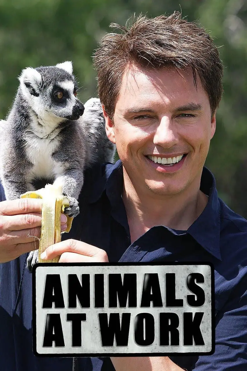 《动物打工记》：萌宠界的“打工人”辛酸日常，一部让人笑中带泪的恋爱喜剧！