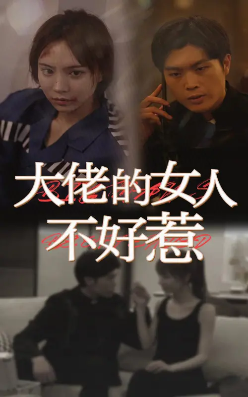 《大佬女人不好惹》：当“女王”遇上“江湖”，一场火力全开的女性力量觉醒史诗